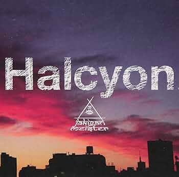 新品 未開封 Halcyon TypeB JAKIGAN MEISTER 71J+YBGrLPL._UF350,350_QL50_.jpg